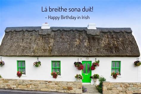 The Best Irish Birthday Blessings and Toasts for Family and Friends