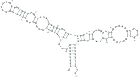 bpRNA: RNA Secondary Structure Database