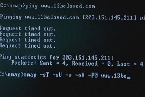Nmap Security Scanner 的图像结果