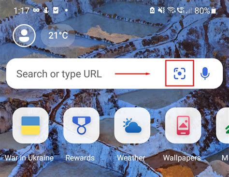 Bing Visual Search Gallery 的图像结果