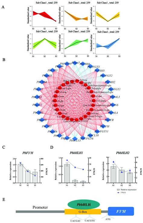 Image result for Transcriptome Analysis