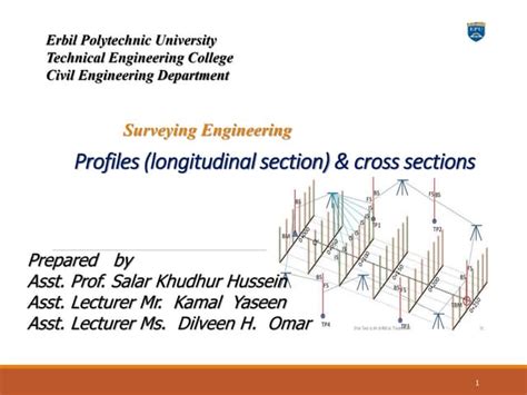 Longitudinal Section and Cross Section 的图像结果