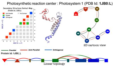 ProLego:: Protein as lego blocks