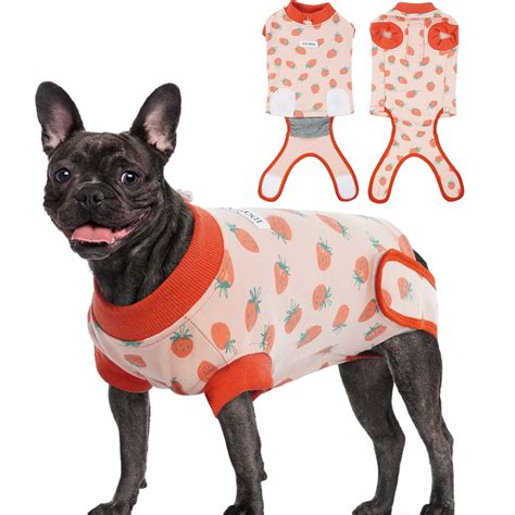 Can Dogs Get Herpes From Licking A Cold Sore