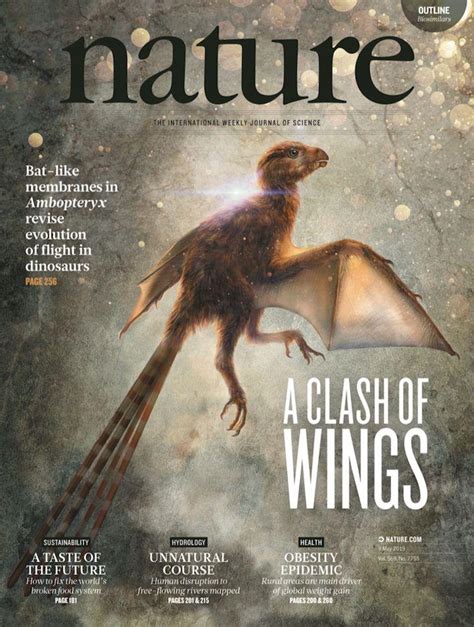 Nature期刊封面 的图像结果