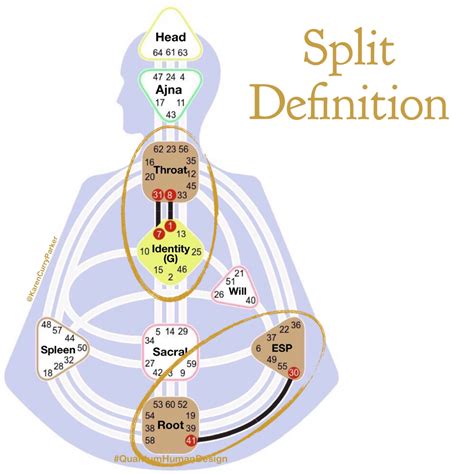 What do the human design circuits mean – Artofit