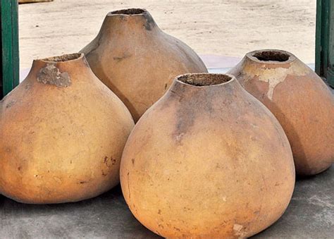 Seed Storage :: Structures