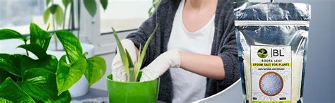 Boota Leaf - Epsom Salt Booster Growth and Development For Plants ...