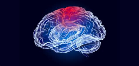 Image result for Brain Decimation