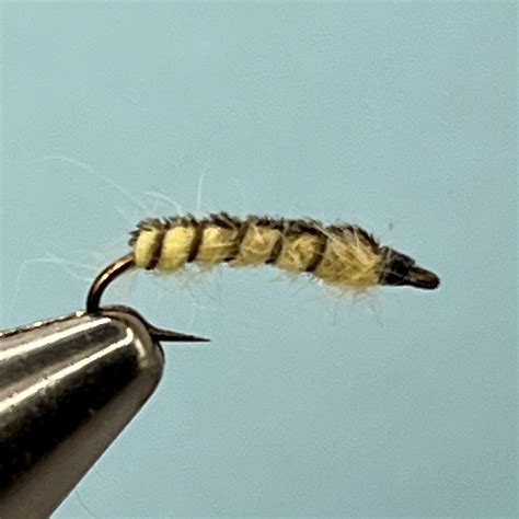 Image result for Maggot Fly Pattern