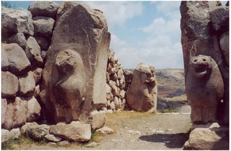 Turkey 的图像结果