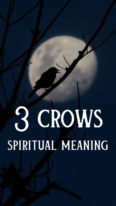 3 Crows Meaning: Facts, Symbolism, Spirituality, Crow Astrology in 2024 ...