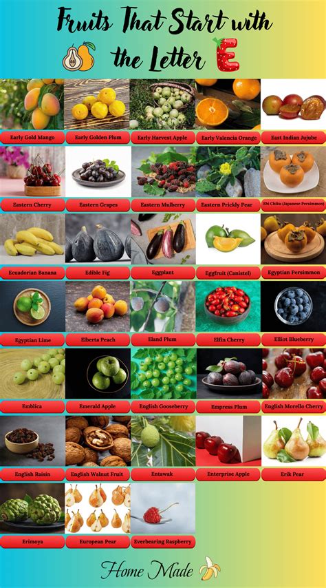 37 FRUITS THAT START WITH THE LETTER E (WITH IMAGES) - homemadebanana.com