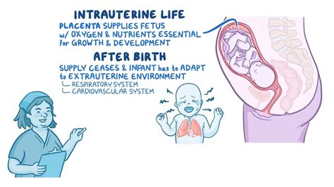 Physiologic and Behavioral Adaptations of the Newborn - Osmosis Video Library