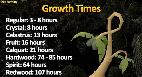 Image result for OSRS Tree Puzzle