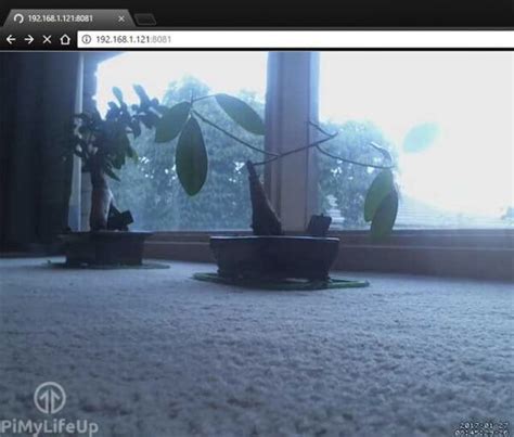 Image result for Raspberry Pi Web Camera