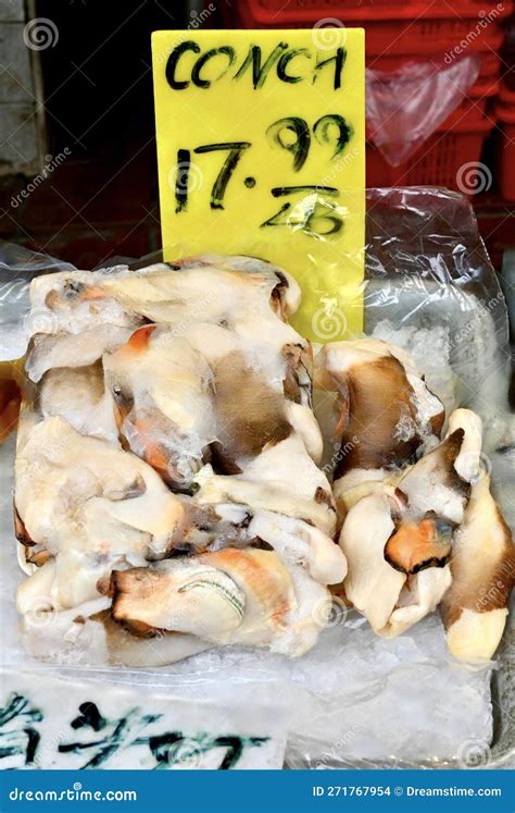Image result for Conch Shell Meat