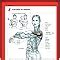 Amazon.in: Buy Strength Training Anatomy Book Online at Low Prices in ...