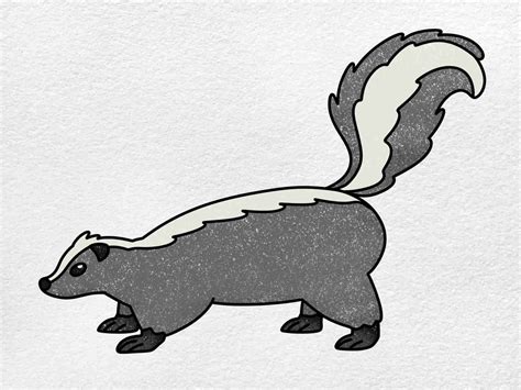 Skunk Drawing For Kids