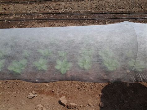 Crop Grow Cover – Grow Cover