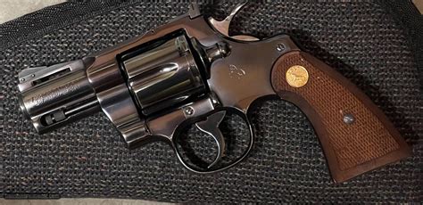 Image result for Bright Colt Python 2 1 2