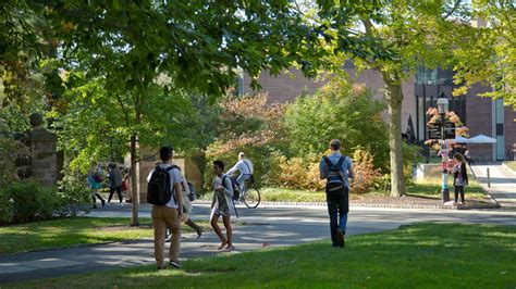 Princeton Graduate Programs 的图像结果