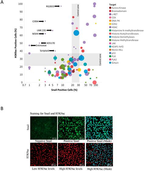 Novel Epigenetic Modifiers of Histones Presenting Potent Inhibitory ...