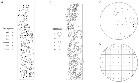 Spatial Pattern of Host Tree Size, Rather than of Host Tree Itself ...