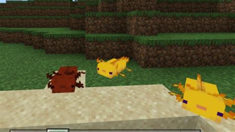 Image result for Minecraft Java Edition Axolotl Mod