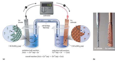 Electrochemical Cells - Chemwiki Chemistry Textbook, Gcse Chemistry ...