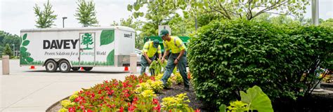 Davey Tree Service 的图像结果