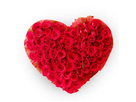 Buy 100 Red Heart Roses online - WarmOven