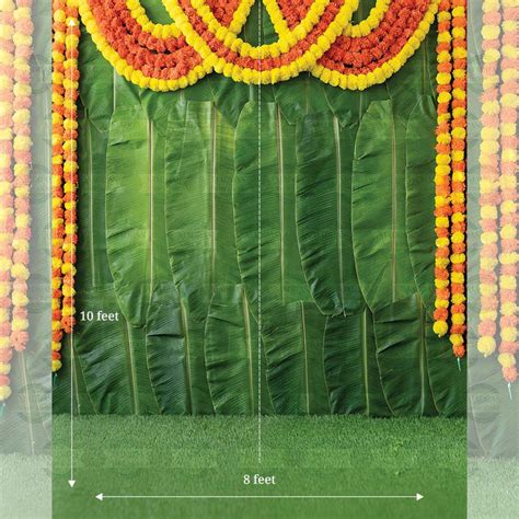 Banana Leaf Backdrop - Maternity Backdrops – Madras Prop Store