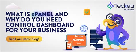 Image result for cPanel Control