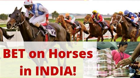 horse race betting india apk v3.9.6