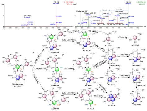 An Innovative Strategy for Untargeted Mass Spectrometry Data Analysis ...
