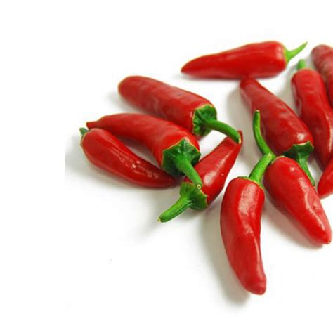Bird's Eye Chilli (Hydroponic) – yodeli.in
