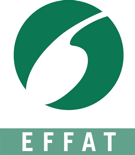 Image result for Serial Turkey Effat