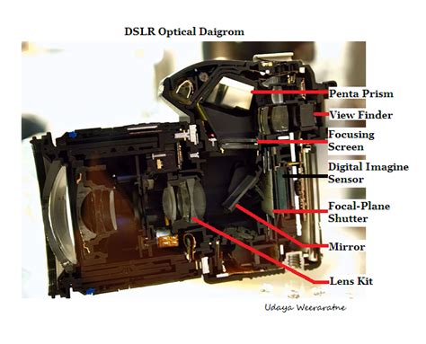 History of the Single-Lens Reflex Camera 的图像结果