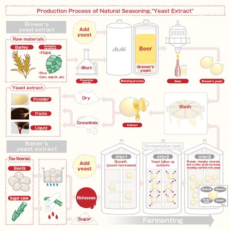 What is yeast extract?｜Yeast Extract｜Asahi Group Foods