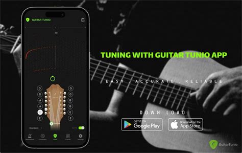 Image result for Twelve-string guitar Tuning