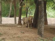 Image result for Computer Image in Bit Computer Graphic