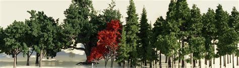 Forest Nodes - procedural trees using Geometry Nodes - Finished Projects - Blender Artists Community