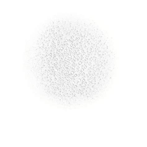 SUBLIMAGE LE TEINT - La línea de maquillaje sublimadora de luminosidad ...