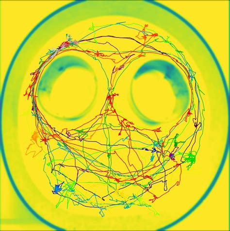 Image result for Example of Trace