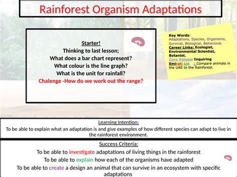 Adaptations KS3 的图像结果