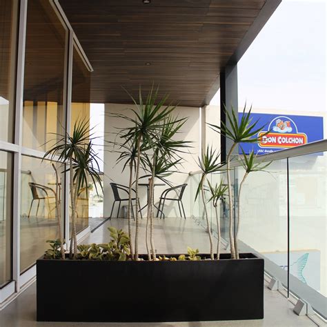 MILLENIUM PLAZA & SUITES (San Luis Potosi) - Apartment Reviews, Photos ...