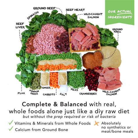 SIMPLE FOOD PROJECT 6-Pack Sample Bundle Freeze-Dried Dog Food, 6-oz ...