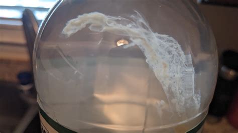 Cloudy stuff in new bottle white vinegar : r/foodsafety