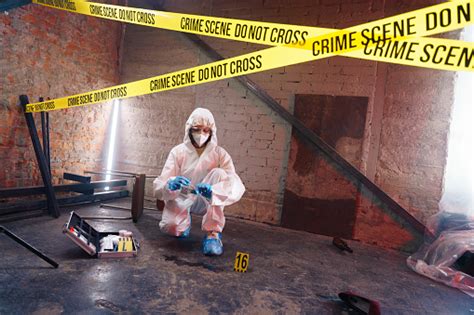 Image result for Forensics Parallel Search Pattern